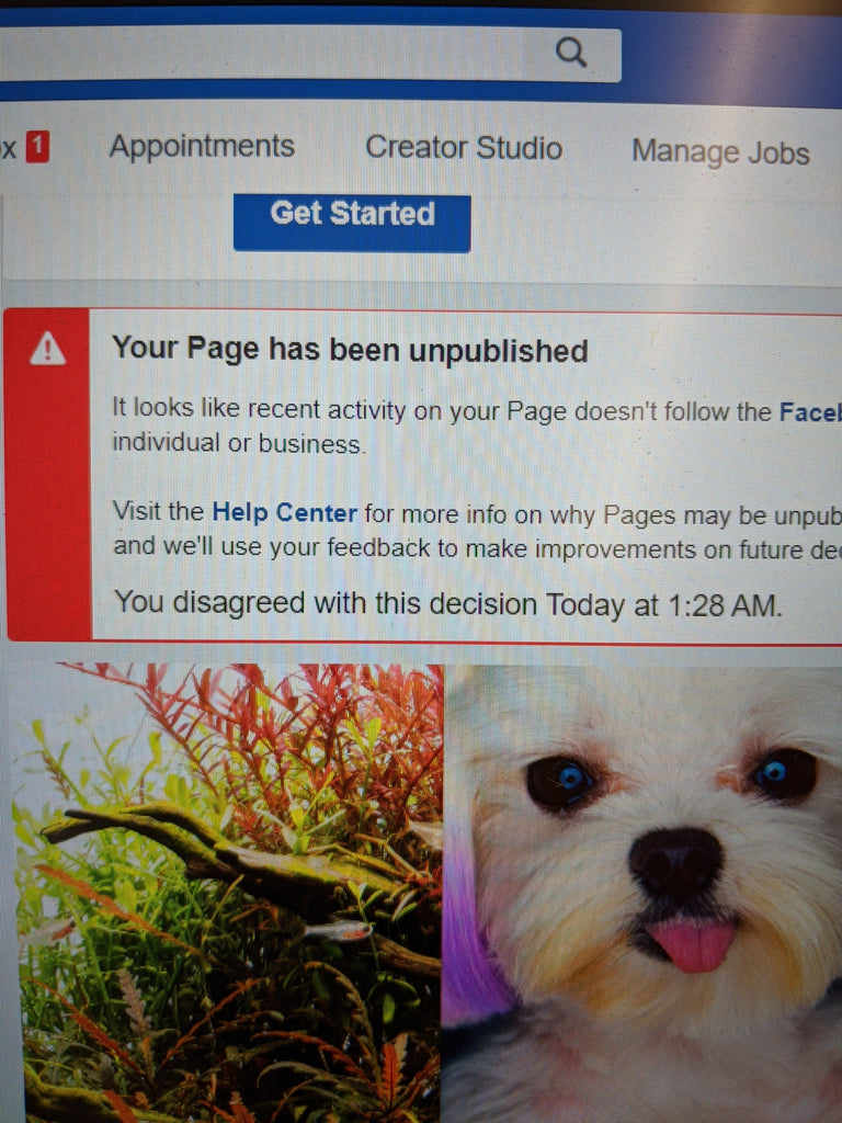 88 Pets Mart Facebook Page is unavailable right now.