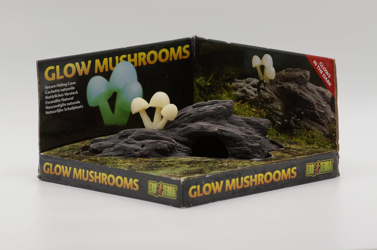 Exo Terra Glow Mushrooms Versteck leuchtend