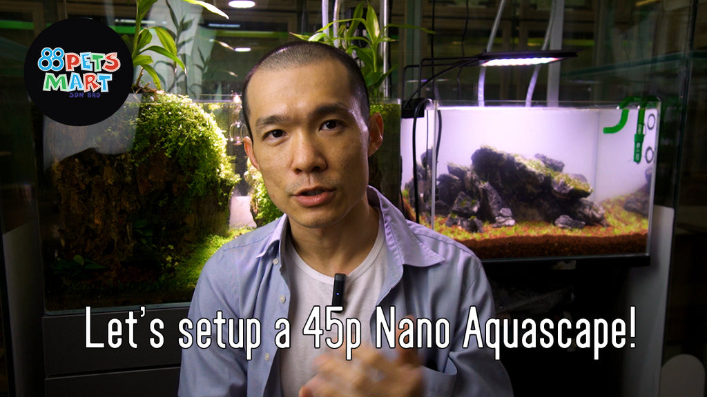 Step by step video guild to setup a nano aquascape tank