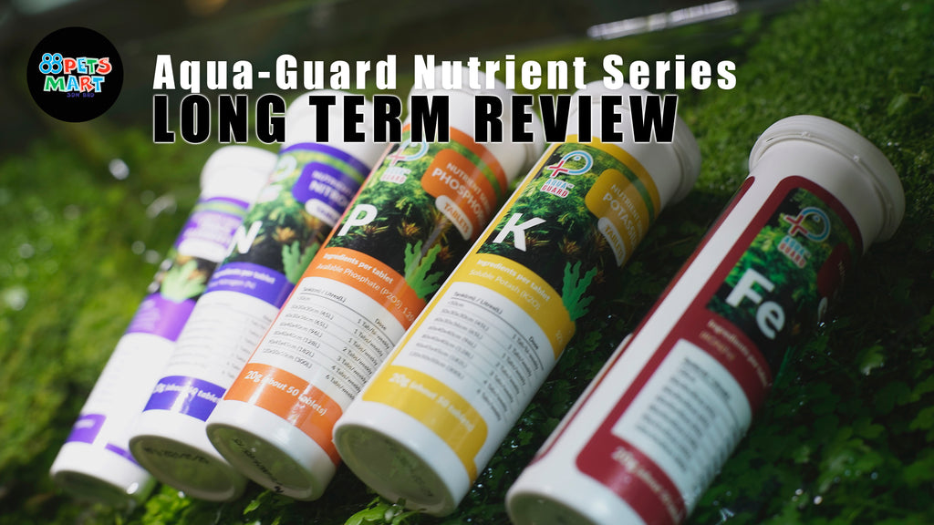 Aqua Guard Nutrient Series - Long Terms Review