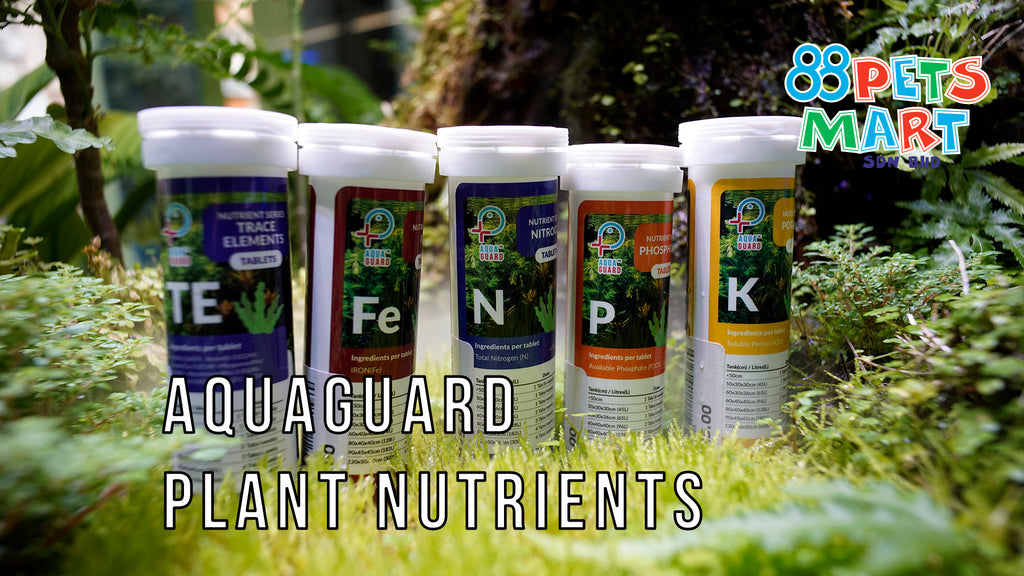 First Look at Aqua Guard AquaScape Nutrients Fertilizer