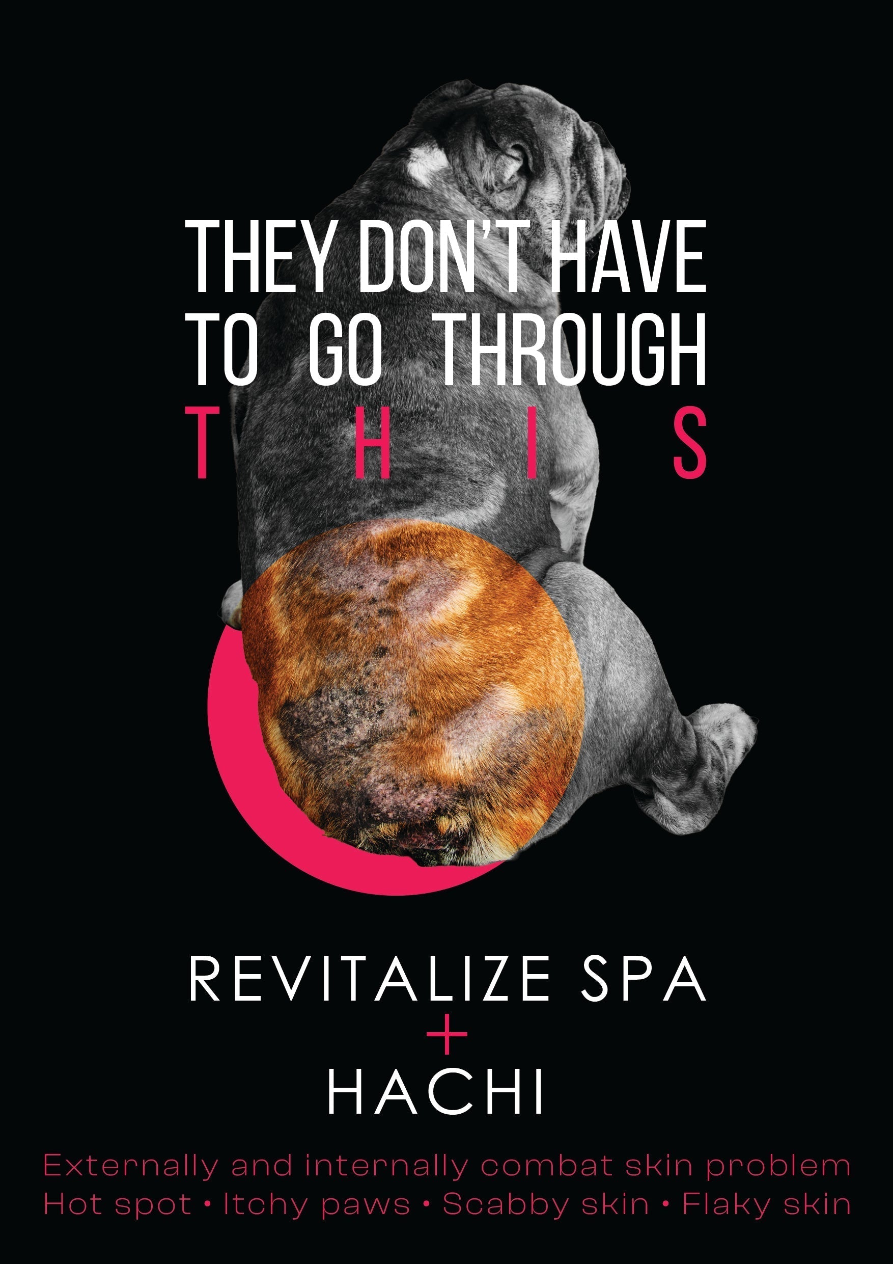 Understanding Your Dog's Itchy Skin: Symptoms and Treatment