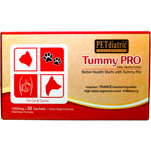 Petdiatric Tummy Pro Gentle Digestions (Sachet/Box)
