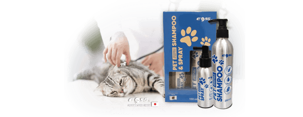 EOSG Antifungal & Antibacteria Shampoo (250ml) & Spray (100ml) Set