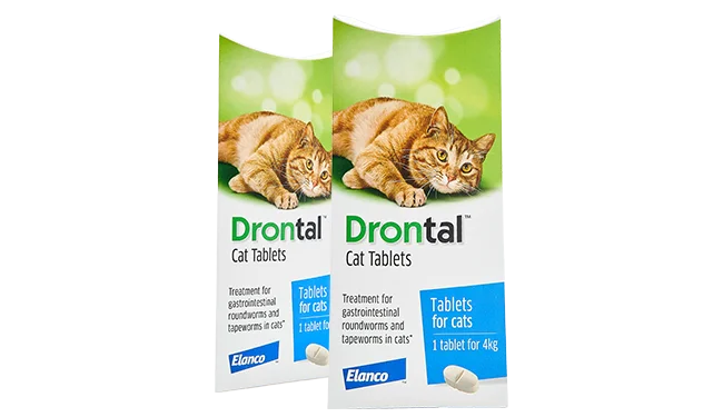 Drontal Cat Worm Medicine 1 tablet