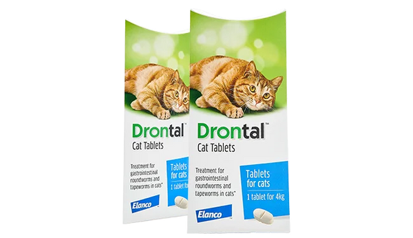 Drontal Cat Worm Medicine 1 tablet
