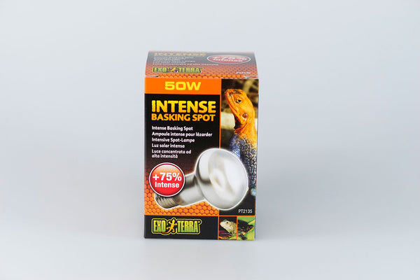 Exo Terra Intense Basking Spot 50W