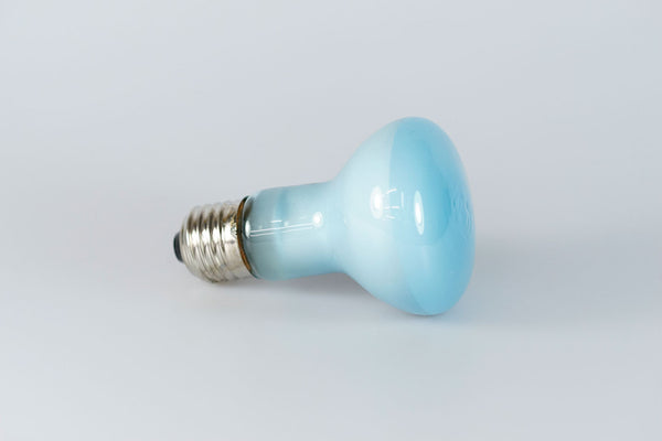 Exo Terra Daylight Basking Spot 50w/75w