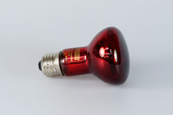 Exo Terra Infrared Basking Spot 50W/100W