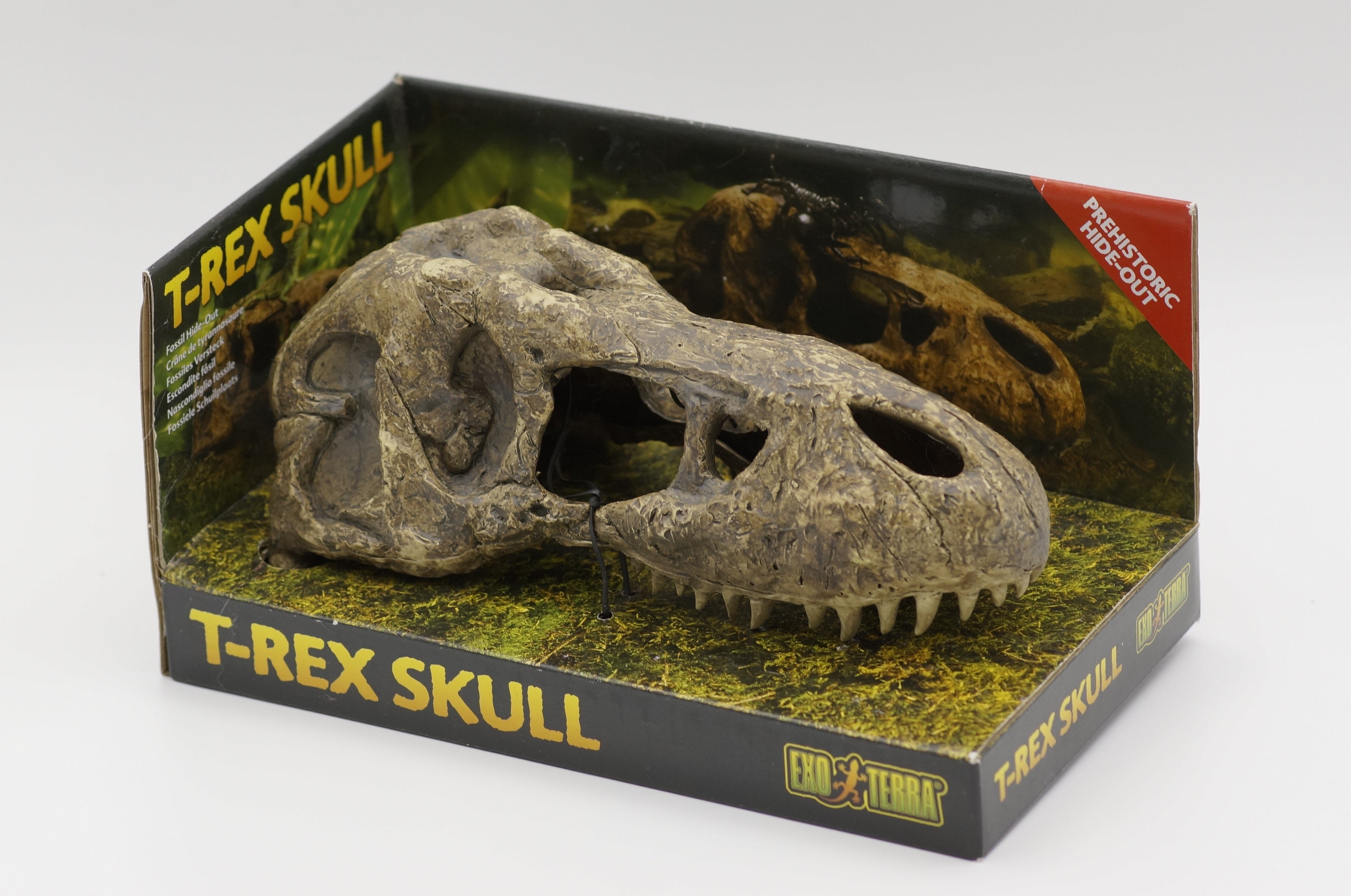 Exo Terra T-Rex Skull Fossil Hide Out