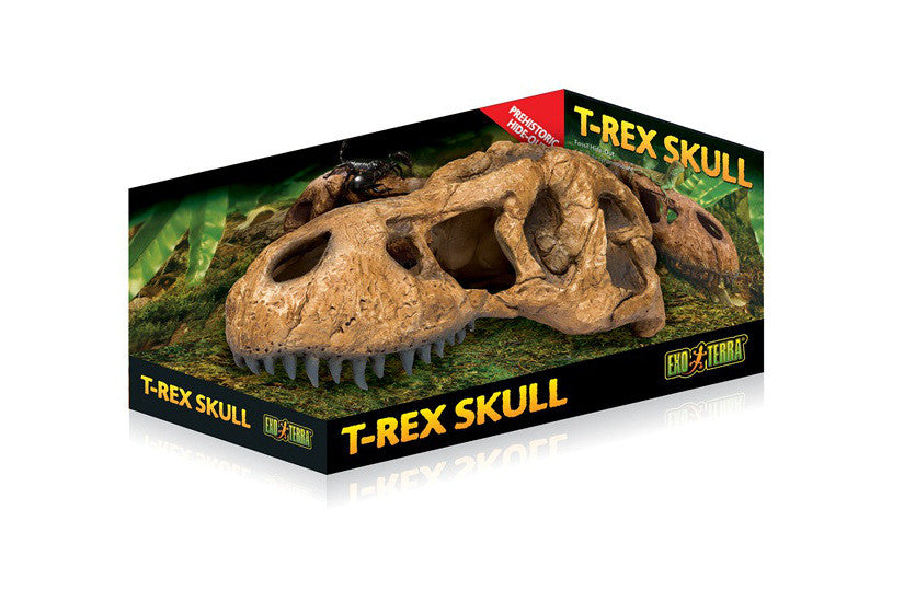 Exo Terra T-Rex Skull Fossil Hide Out
