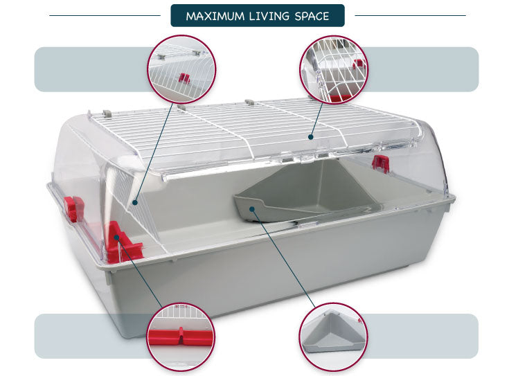 Living World Zoo Zone Small/Large - Main Image