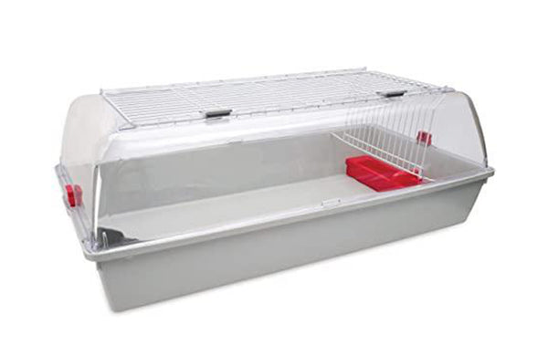 Living World Zoo Zone - Small/Large