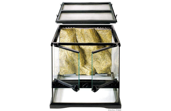 Exo Terra Mini Terrarium